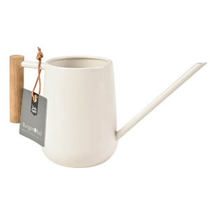 Indoor Watering can Stone